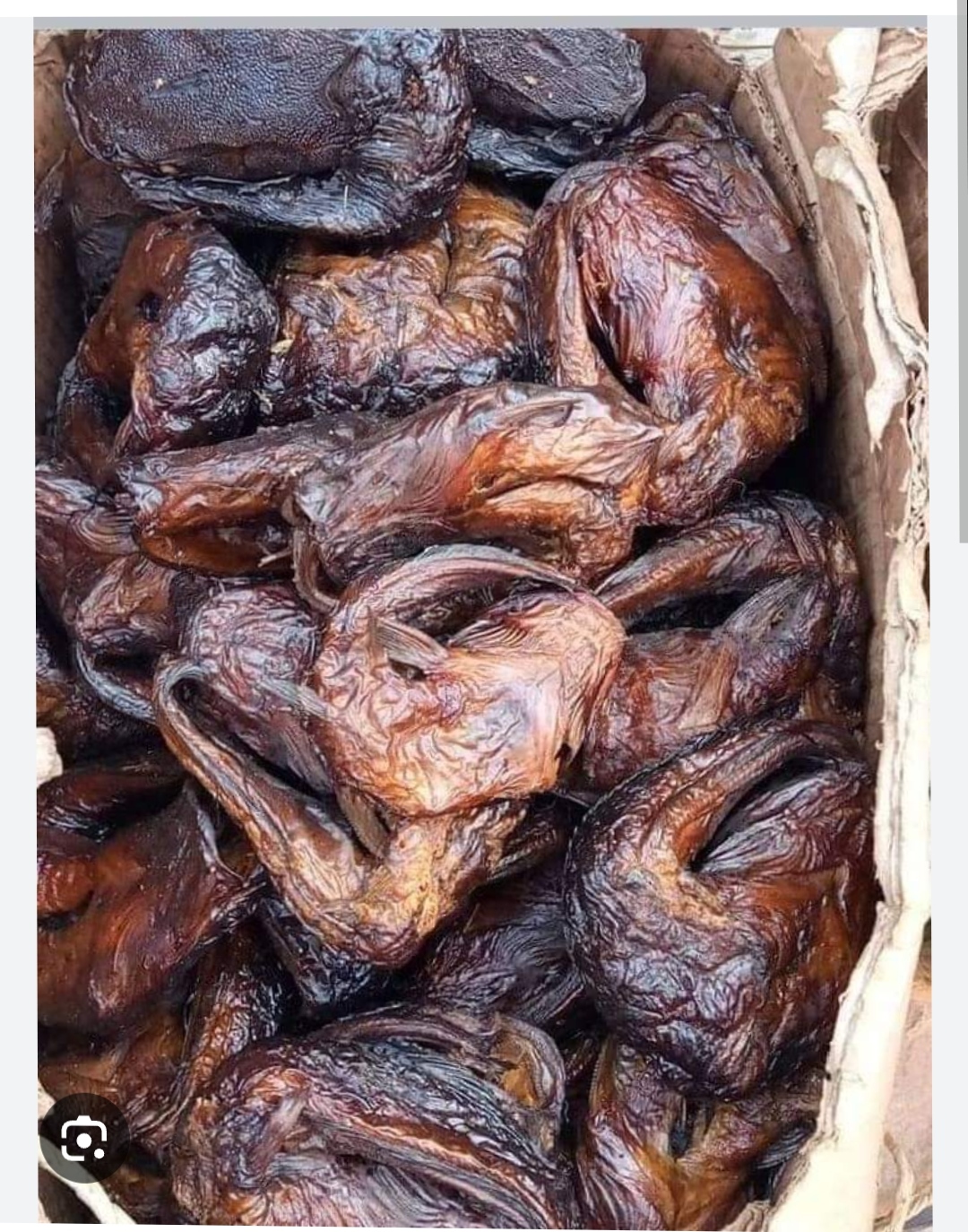 Smoked Cat Fish - Image 3