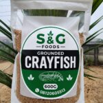 Ground crayfish